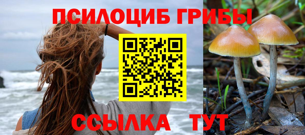 Псилоцибиновые грибы Cubensis  Псилоцибиновые грибы Psilocybe  Вход с VPN  купить наркоту  Братск 