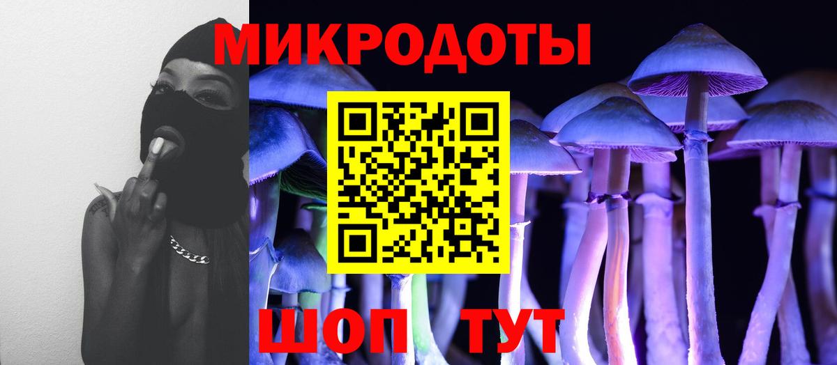 Псилоцибиновые грибы мухоморы Братск