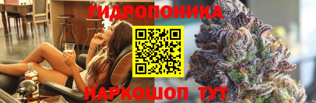 Конопля планчик  Вход с VPN  Канабис ГИДРОПОН  Конопля White Widow  Братск 
